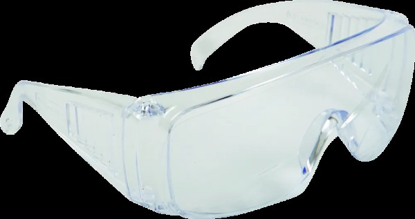 Eyewear Visitor Basic - Clear